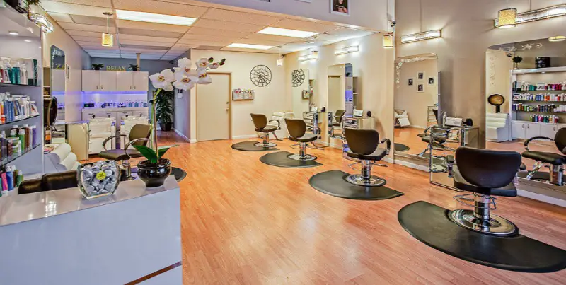 Health and Beauty finance (1)